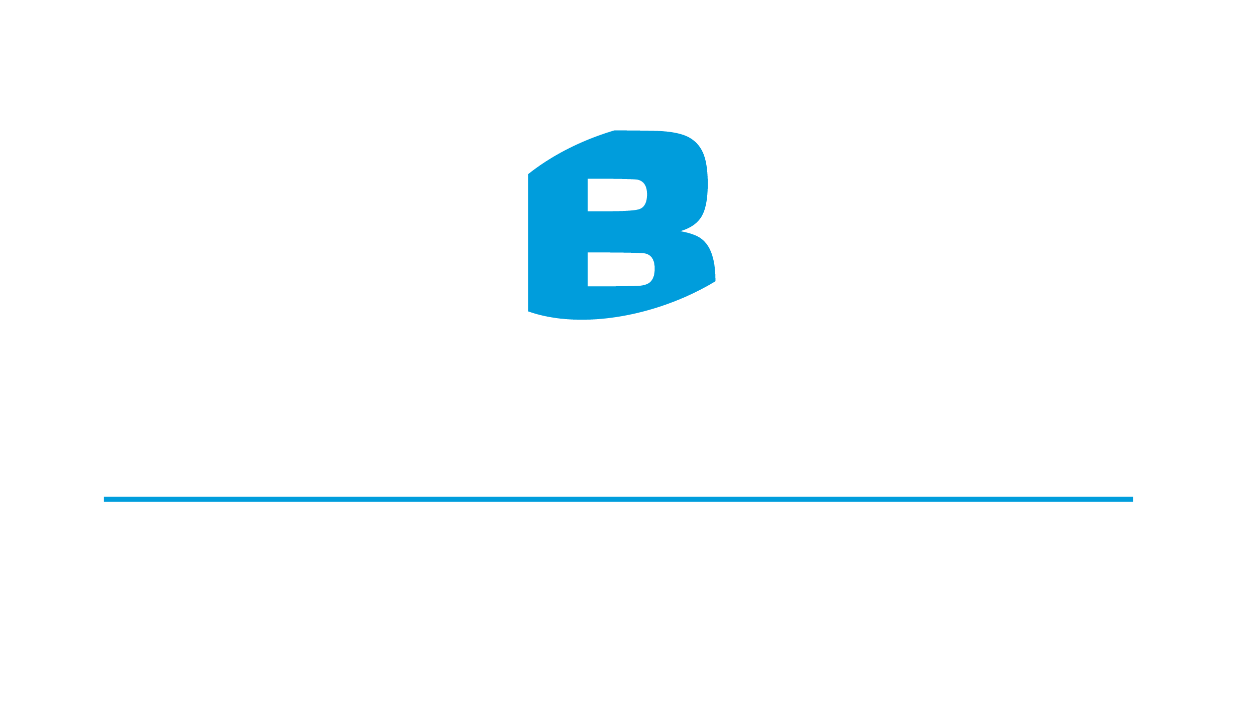 Birch-Constructions-logo_White-v2